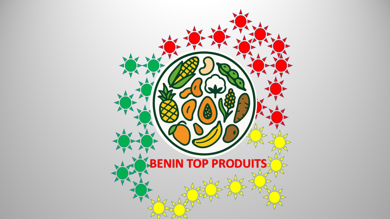 Logo Bénin Top Produits